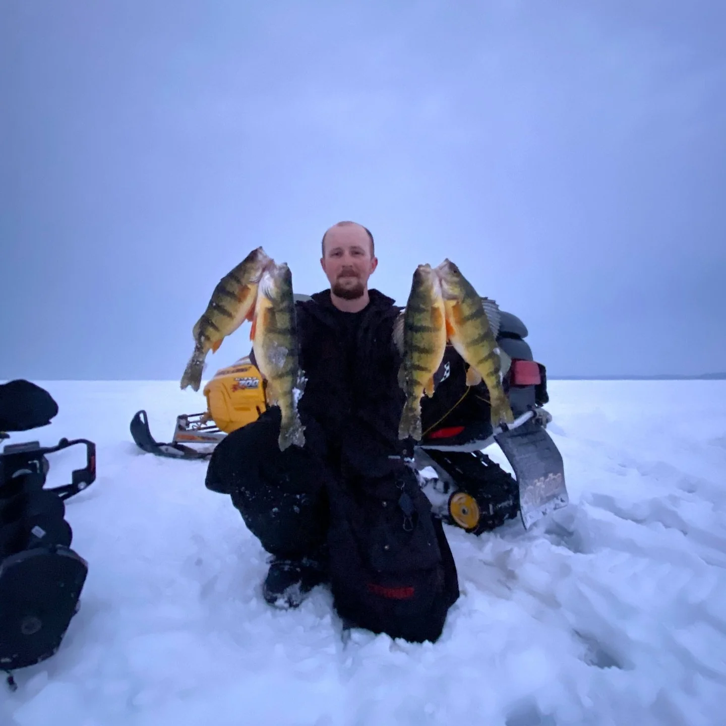 Managed a few nice ones today sight fishing