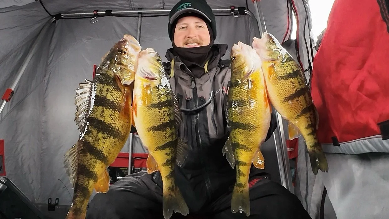 Late ice jumbos today on Lake Simcoe, only a couple weeks left!
