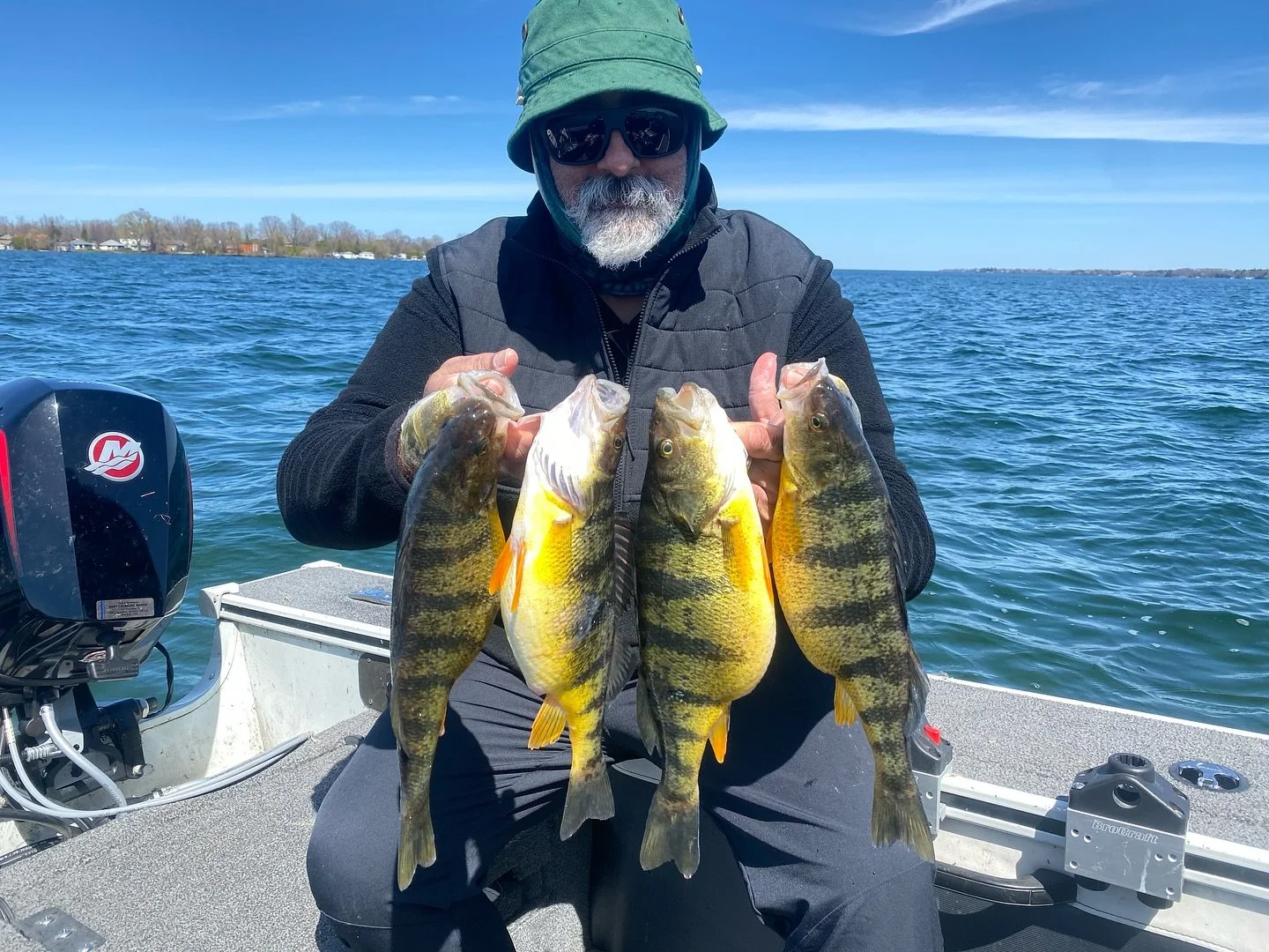 On the Lake Simcoe jumbo perch Monday April 27. Several big ones over 13&rdquo; and good numbers of keepers. Noticed many of the keeper size were full of midges, and there was another huge midge hatch in the morning with the glass clam conditions tha