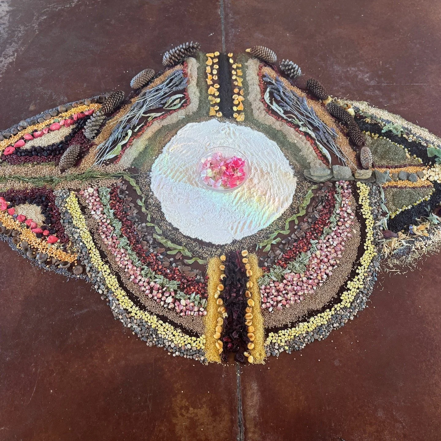 🌵✨ In June, I led a group of healers into the Sonoran Desert for an ancestral healing journey.
Together, we reclaimed our intuitive gifts, healed scars related to intergenerational trauma, listened deeply to the land, and offered our prayers and son