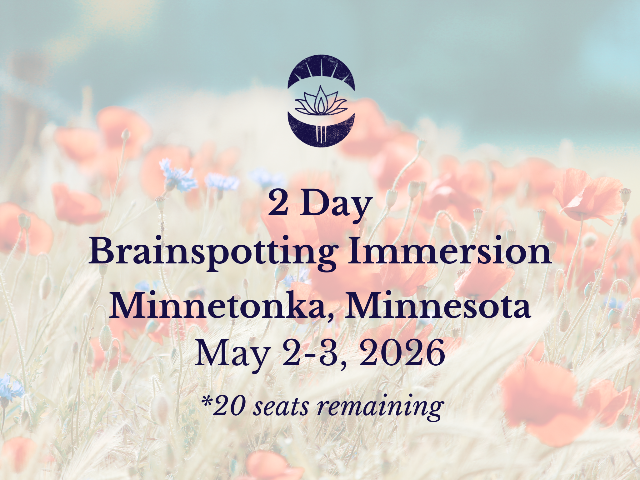 Brainspotting Immersion-Minnetonka, MN