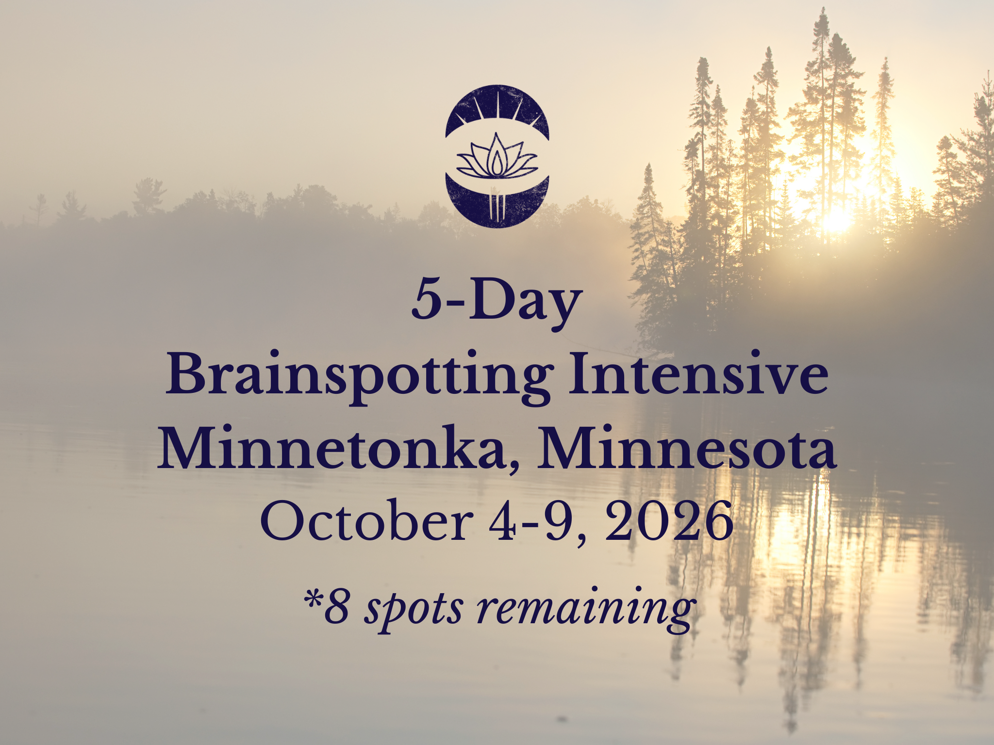 IN PERSON  Brainspotting Intensive Training Retreat-Minnetonka, Minnesota