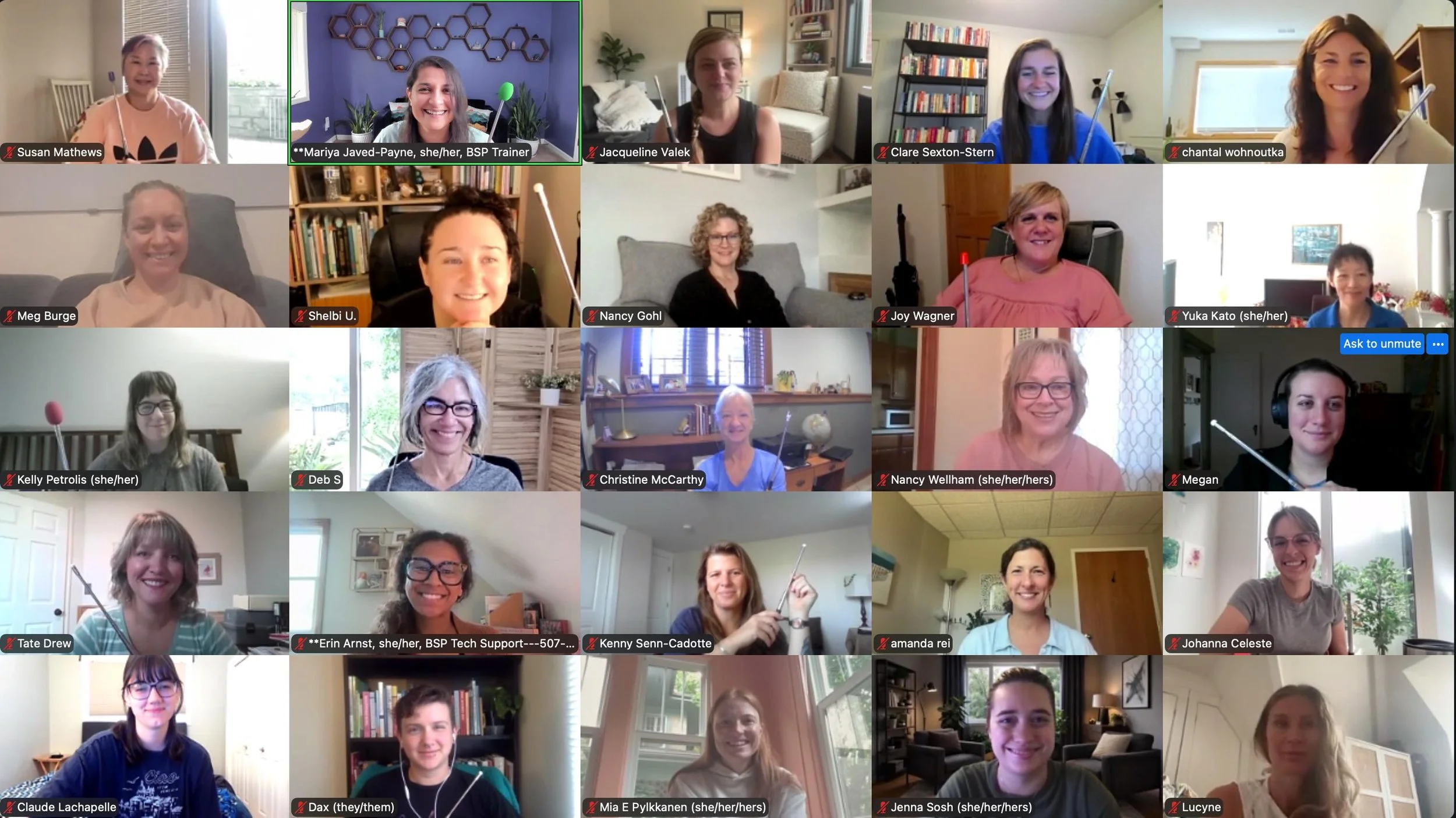 This was a cozy and intimate training group with big medicine!

Together we learned that Brainspotting asks us to slow down and follow the body, not our theories about the body. These&nbsp;clinicians were willing to be beginners again, trusting in un