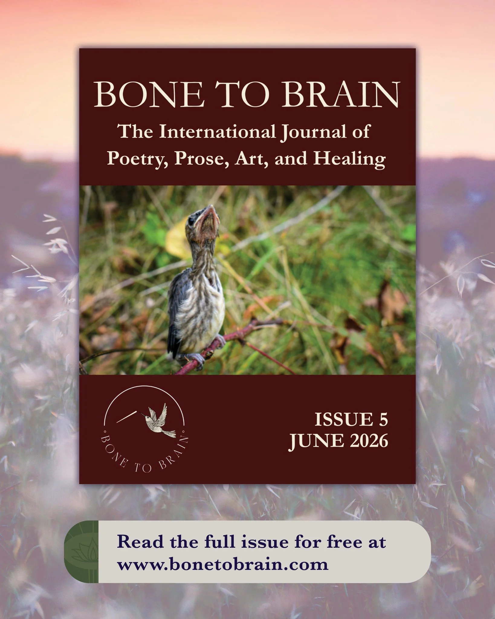 Catching a Song, a new interview by Kristy Snedden in the latest issue of Bone to Brain, featuring Mariya Javed-Payne! Read the full issue for free at their website, where you'll also find a link to the extended interview on YouTube.