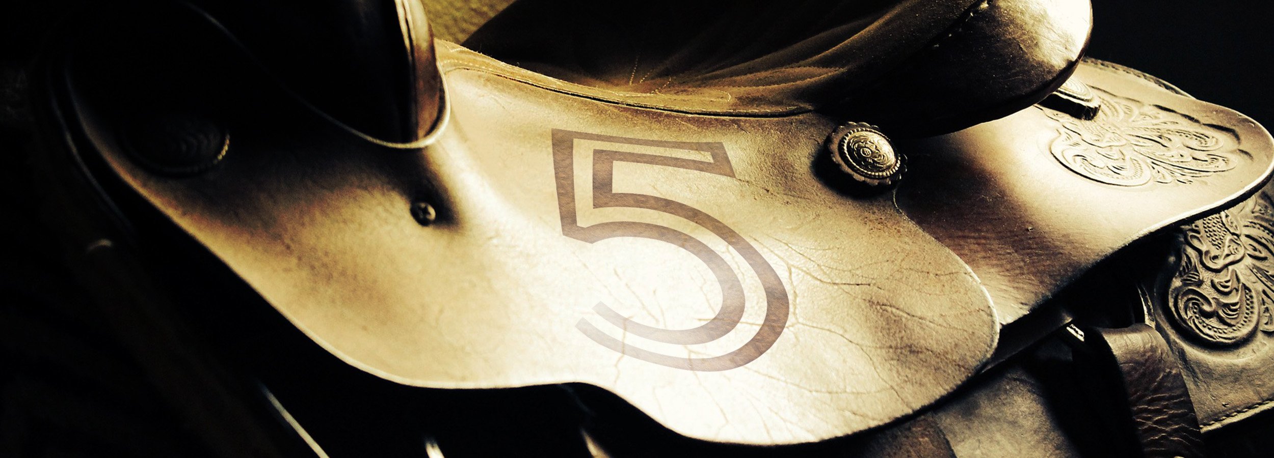 What Teaching Horseback Riding Taught Me about Learning Design