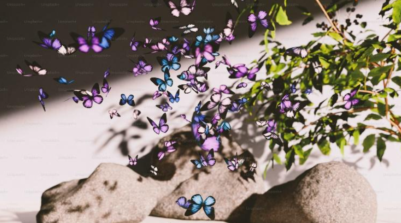 Poetry as Soul Language