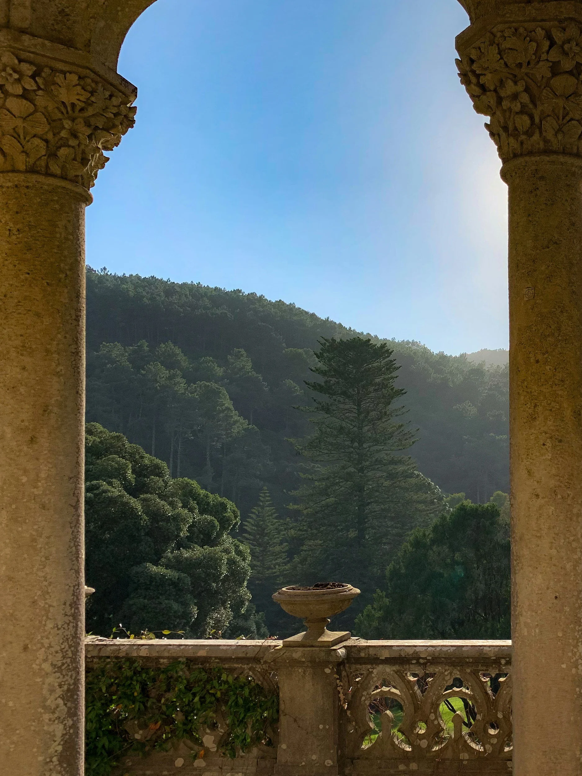unsplash-image-19M4FxFKQNQ.jpg