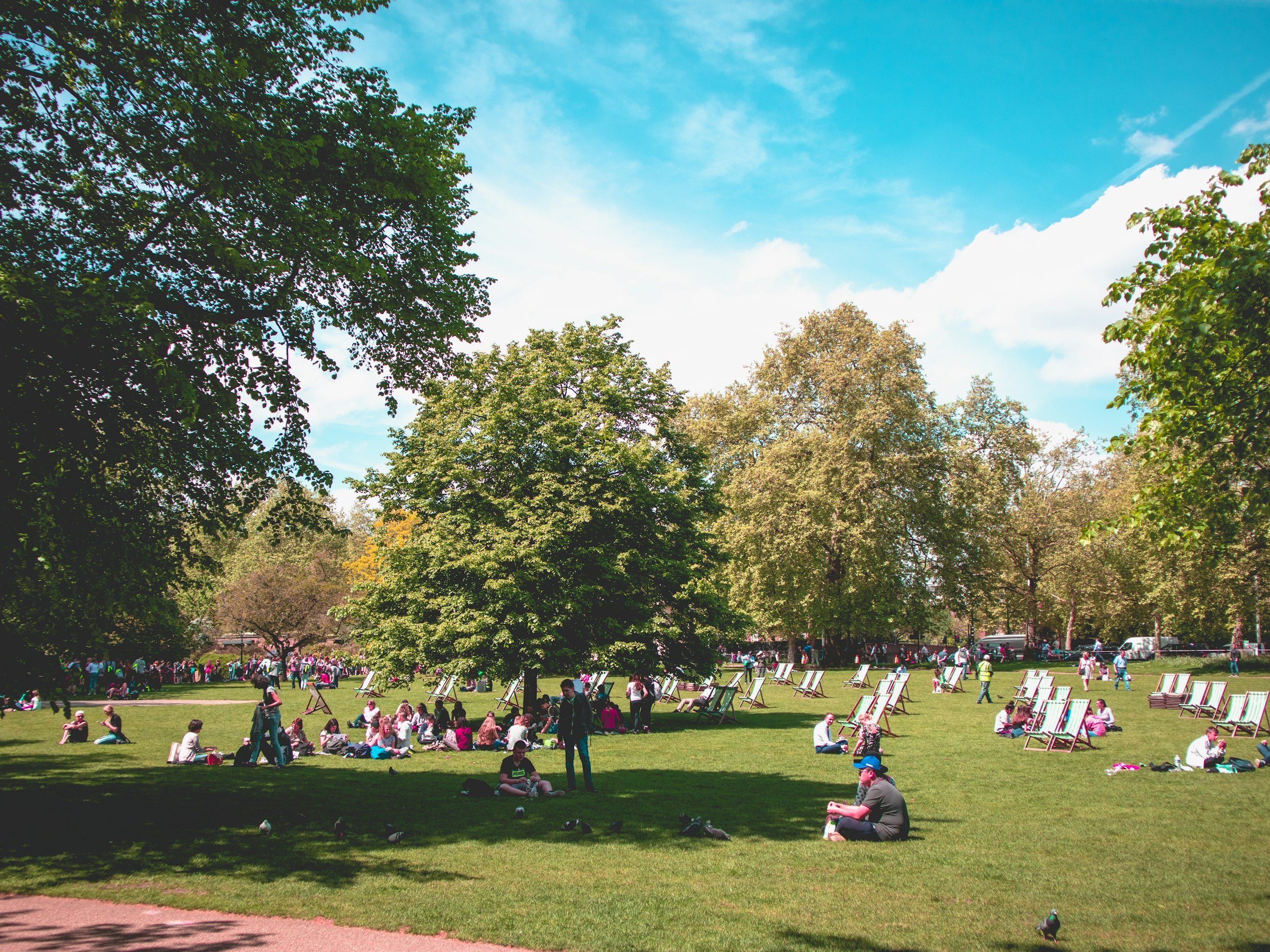 A large park with many people sitting and relaxing on the grass, trees in the background, some lawn chairs, and a clear blue sky overhead.