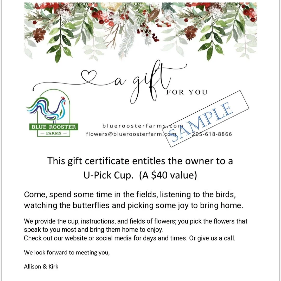 GiftSample.jpg
