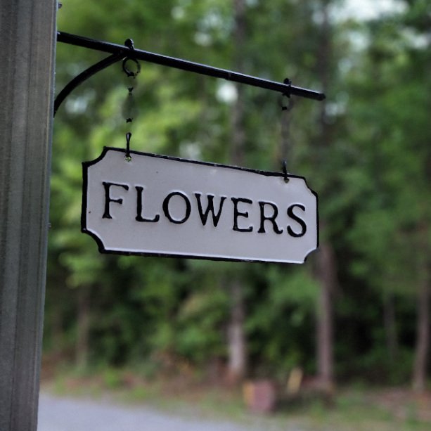 Blue_Rooster_Farms_Chelsea_Al_U-Pick_Flower_Farm_Sign.jpg