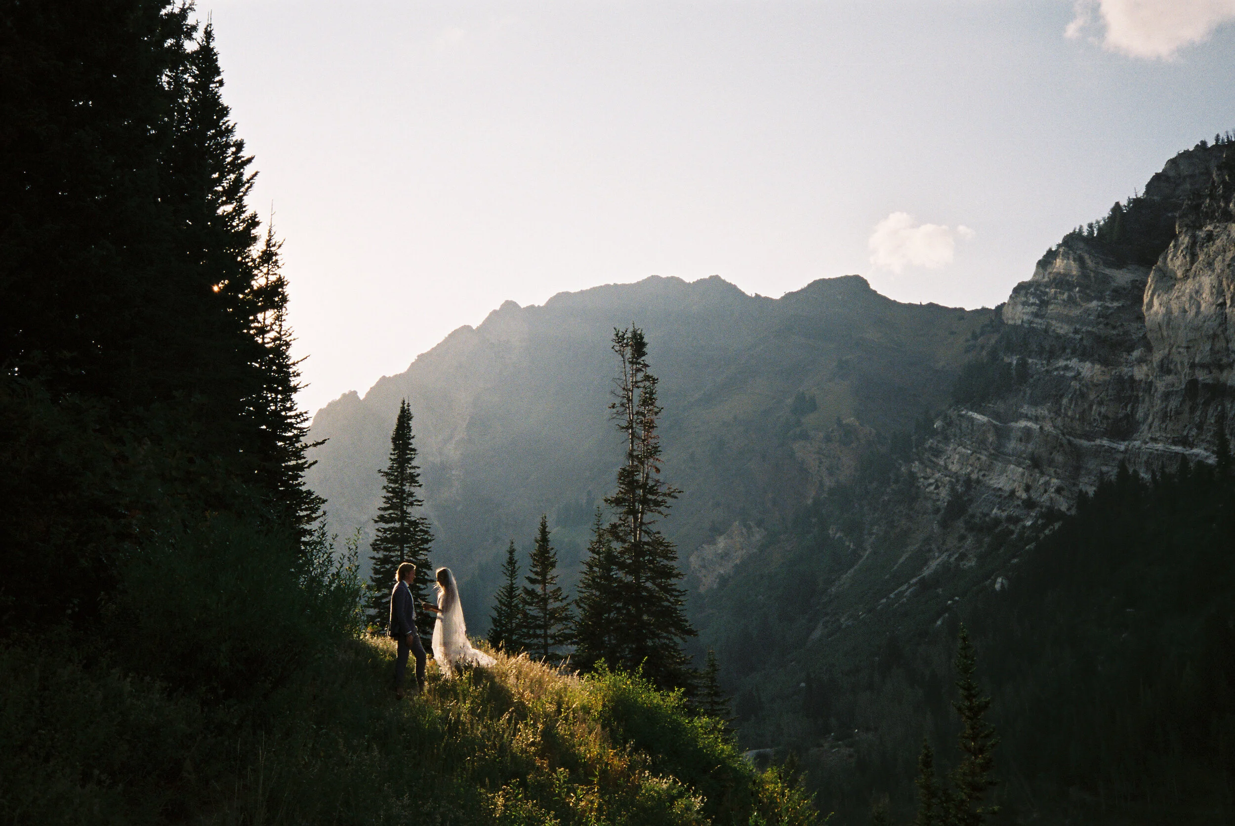 A couple stands and holds hands in a wooded mountain landscape with tall trees and rugged mountains in the background at sunset or sunrise.