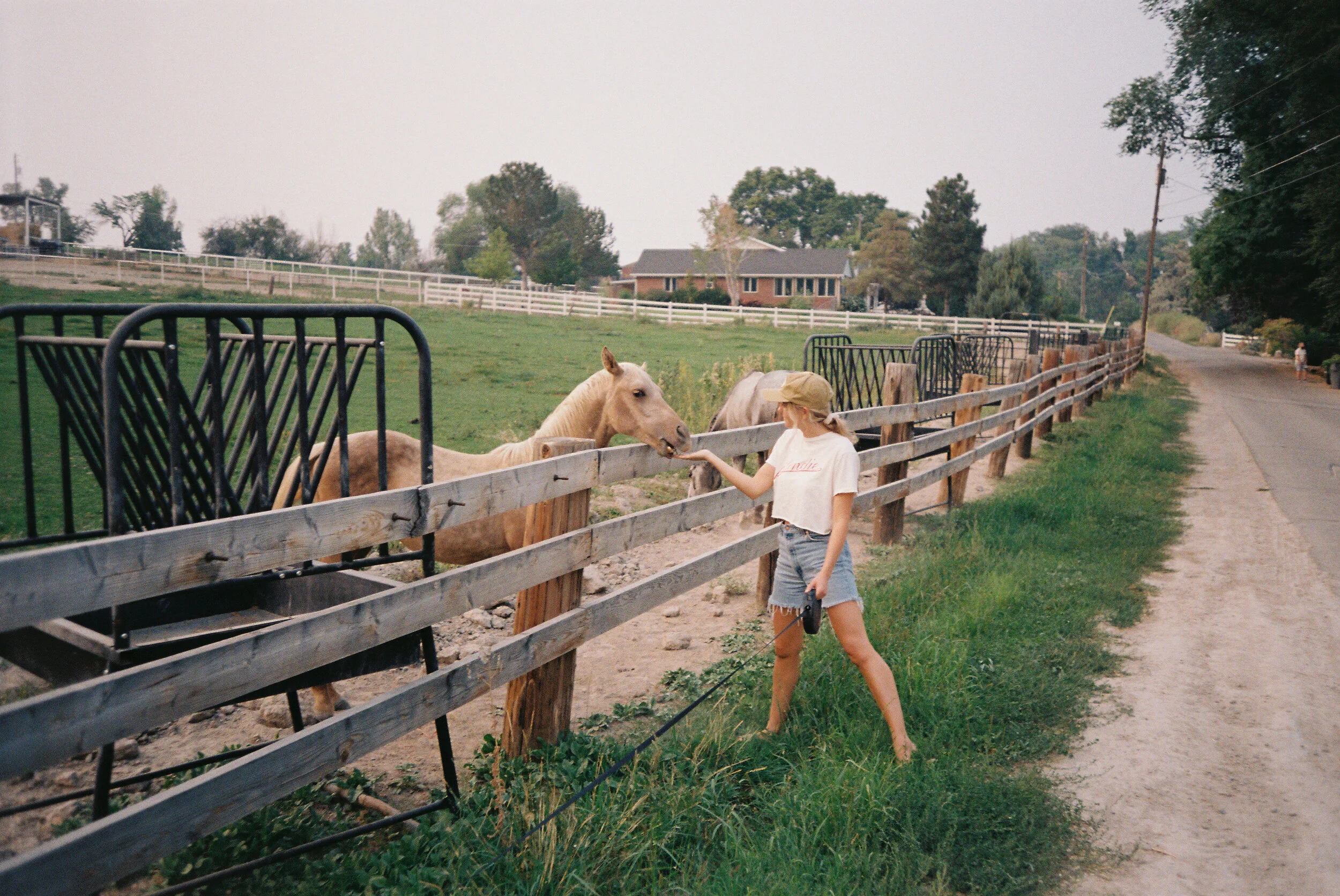 A young girl feeding a light brown horse through a wooden fence in a rural area with green grass, trees, and a house in the background.