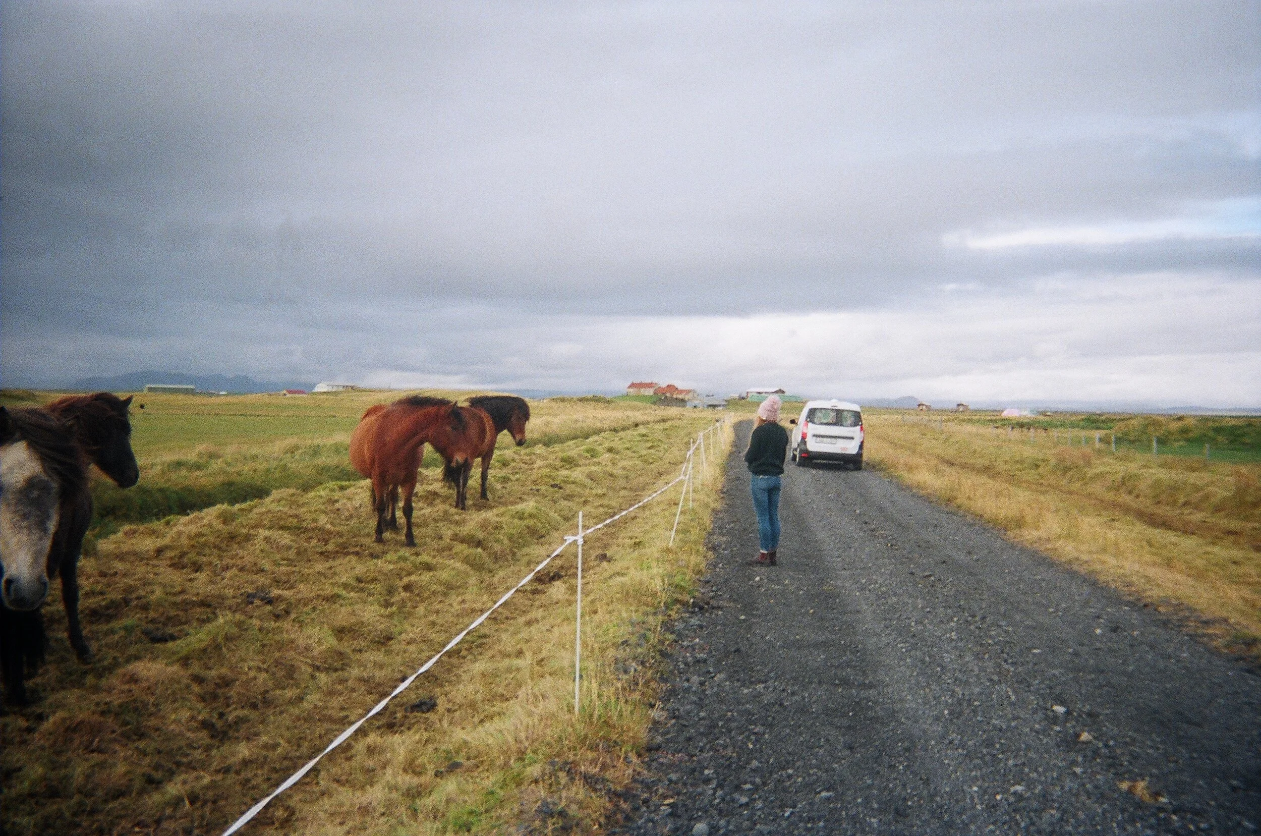 A rural scene with a woman walking on a gravel path next to a white van, surrounded by horses grazing on the grass, with a cloudy sky and distant farm buildings.