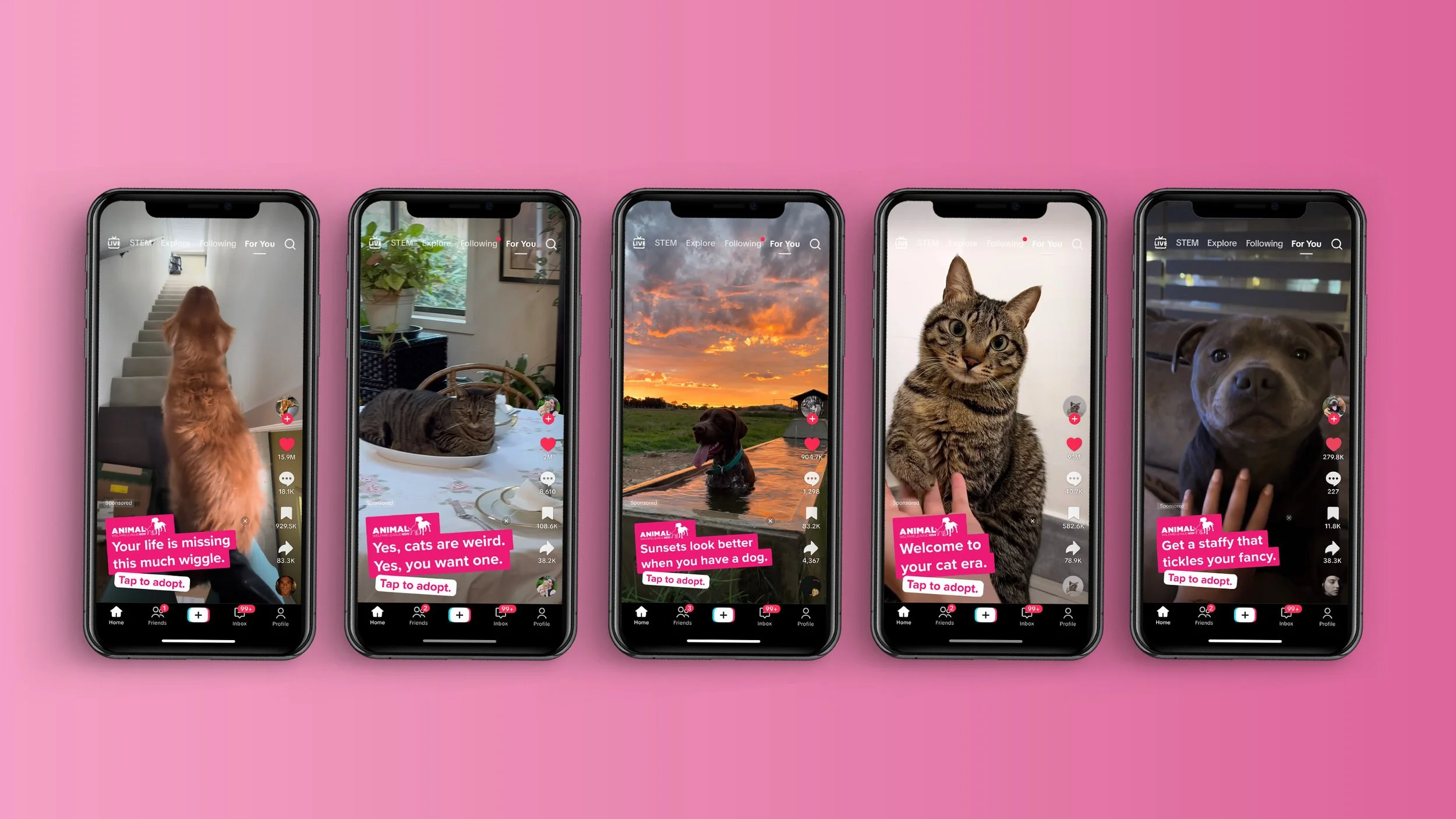 AWL Supporting Imges.jpg