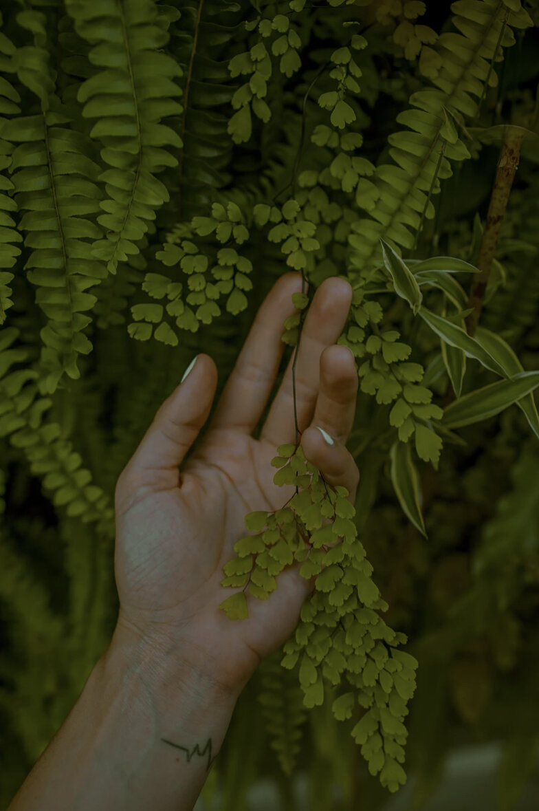 Auric Healing And Elemental Healing