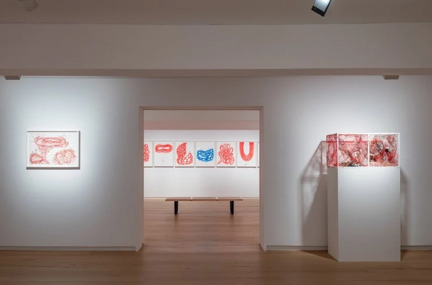 CHIHARU SHIOTA: ECHOES BETWEEN