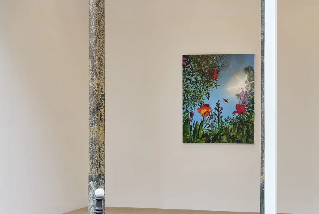 ALEXIS ROCKMAN: VERTIGO