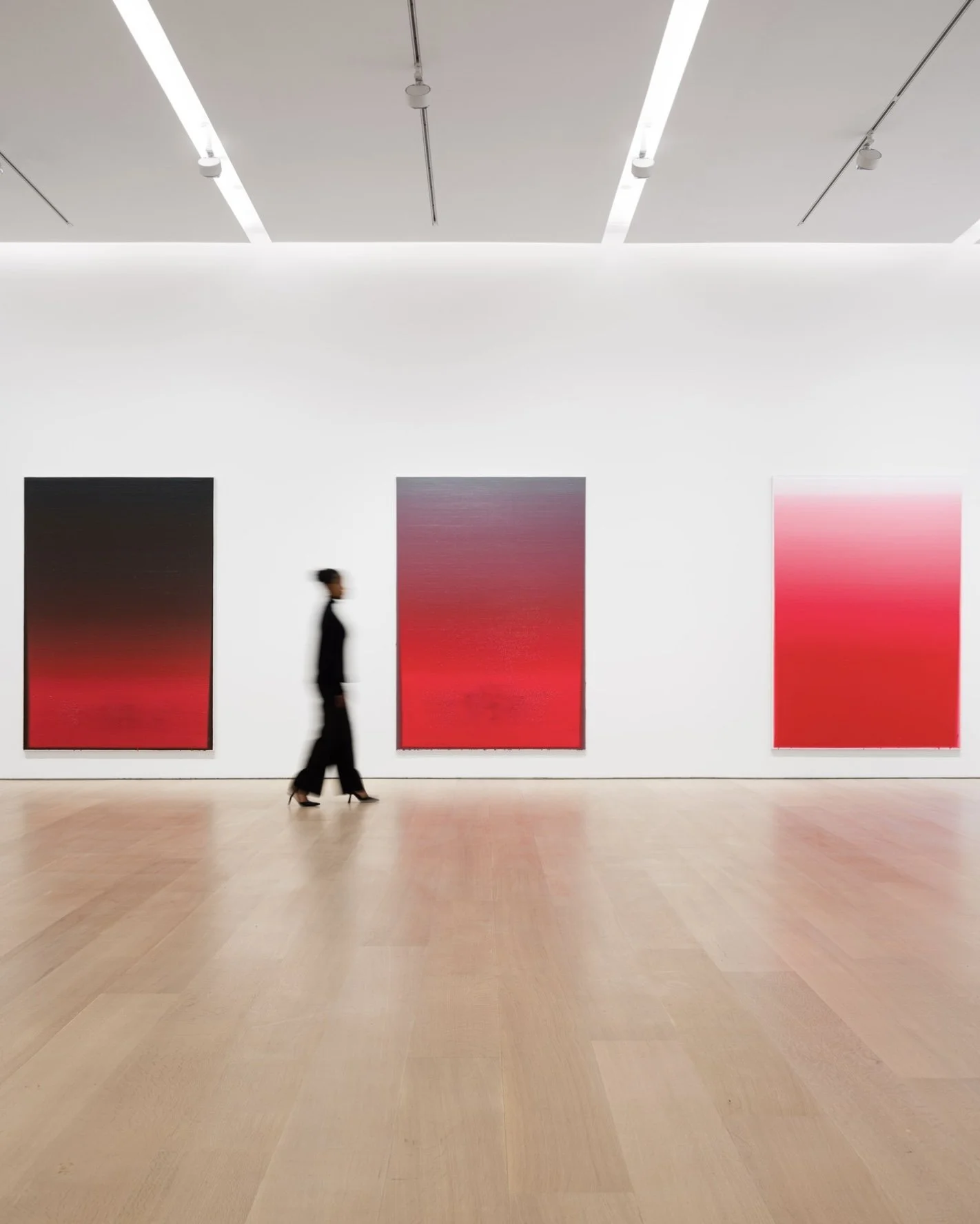 WANG GUANGLE: DELAYED GRAVITY 