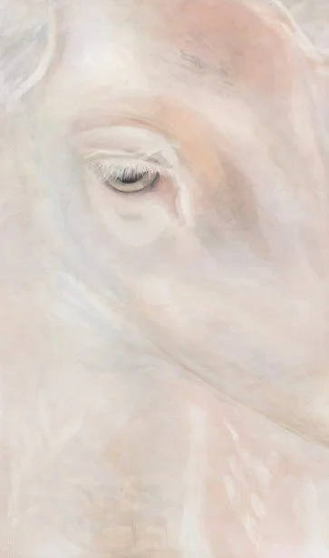 GROUP EXHIBITION: TO THE THINGS THEMSELVES: FROM MYTH TO THE EVERYDAY