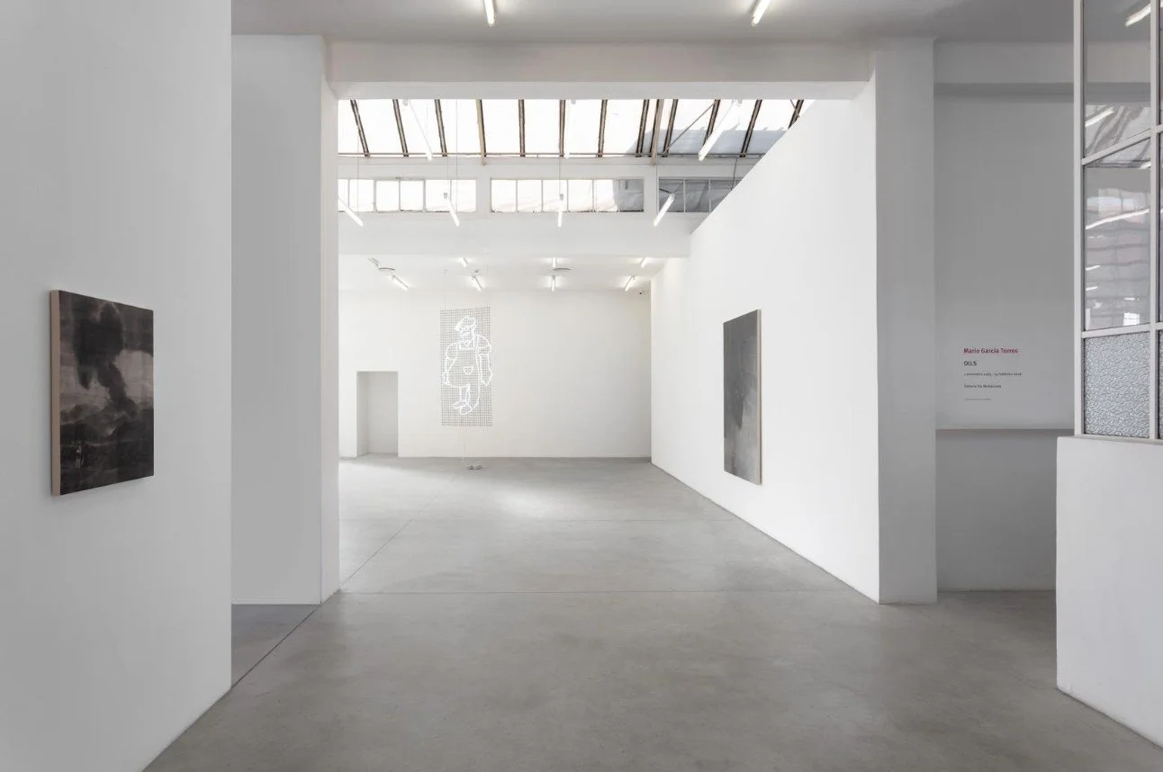 MARIO GARCÍA TORRES: OILS