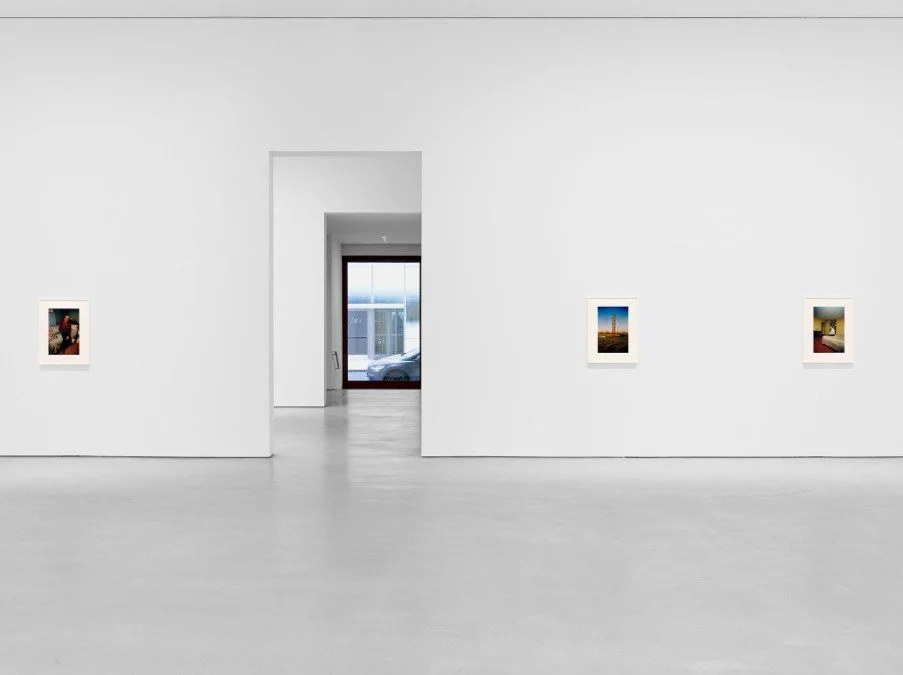 WILLIAM EGGLESTON: THE LAST DYES