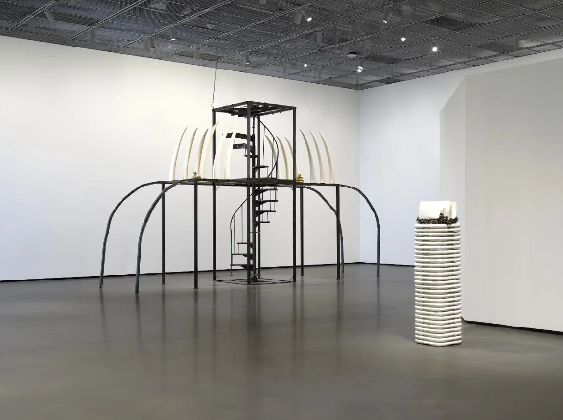 SAHAR KHOURY: WEIGHTS &amp; MEASURES