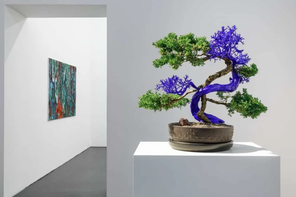 AGNIESZKA KURANT: VARIANTOLOGY