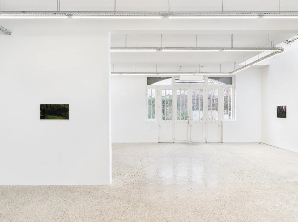 ALAIN GUIRAUDIE: UNTITLED