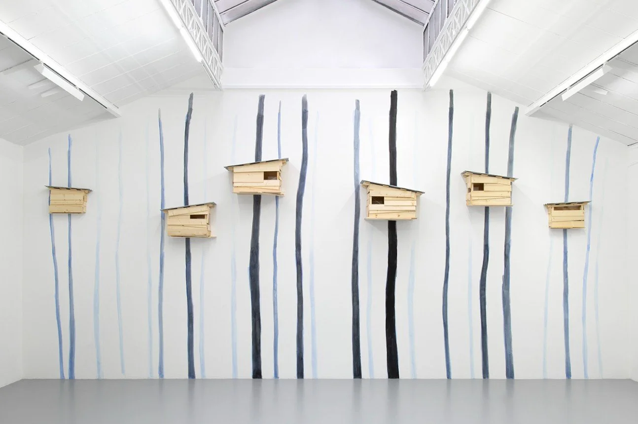 TADASHI KAWAMATA: BONSAI