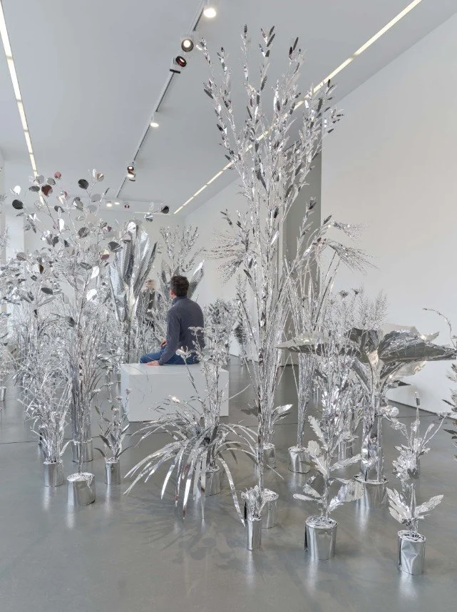 TOSHIHIKO MITSUYA: WHERE SHADOW FAILS