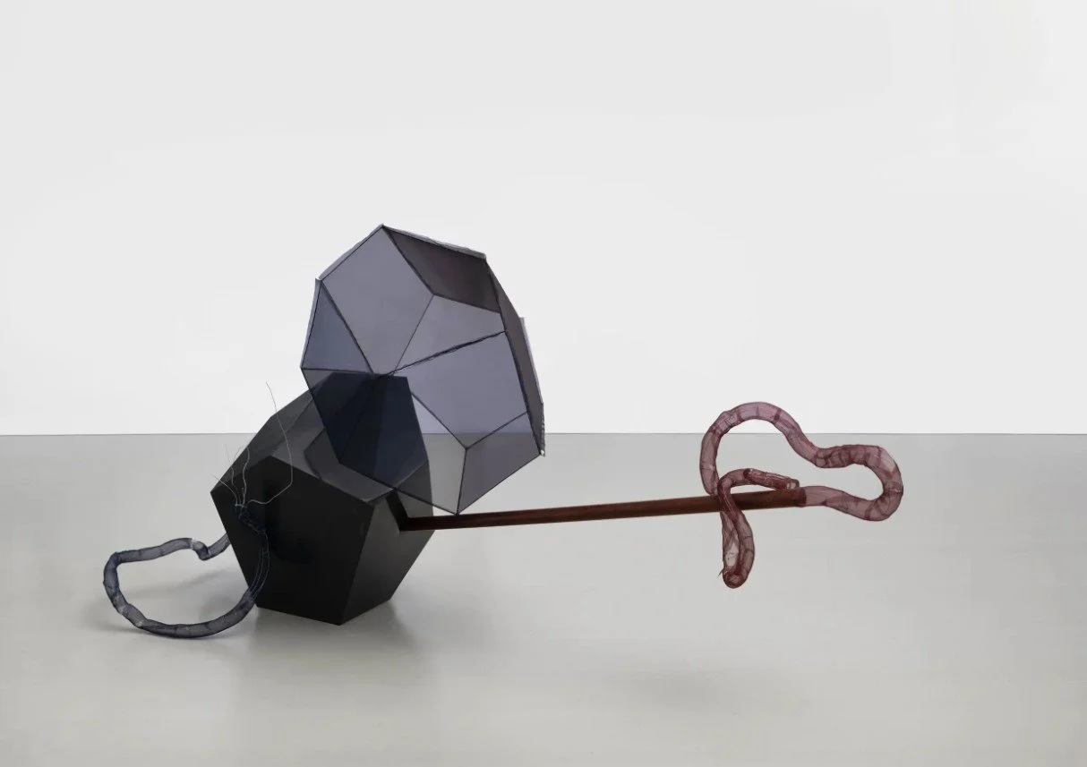 HU XIAOYUAN: THE MAYFLY HAS UNTIED THE LILAC KNOT