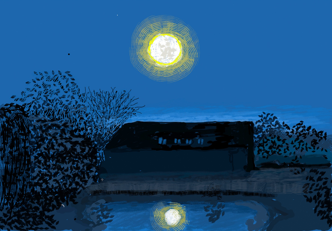 DAVID HOCKNEY: THE MOON ROOM