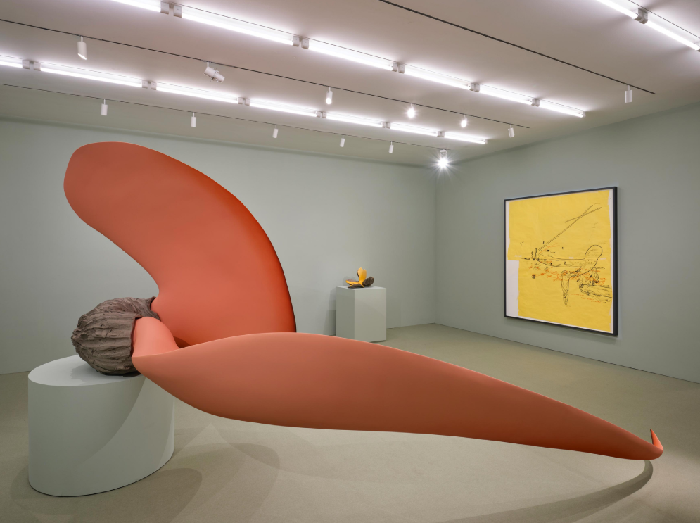 TERESA SOLAR ABBOUD: NIGHT CRAWLER