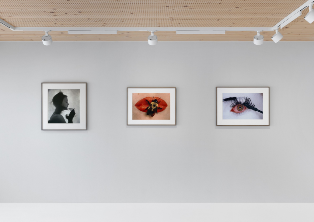 IRVING PENN: UNTITLED 