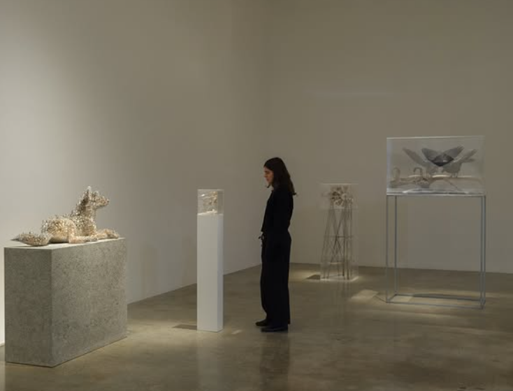 KOHEI NAWA: PHOTON CAMP