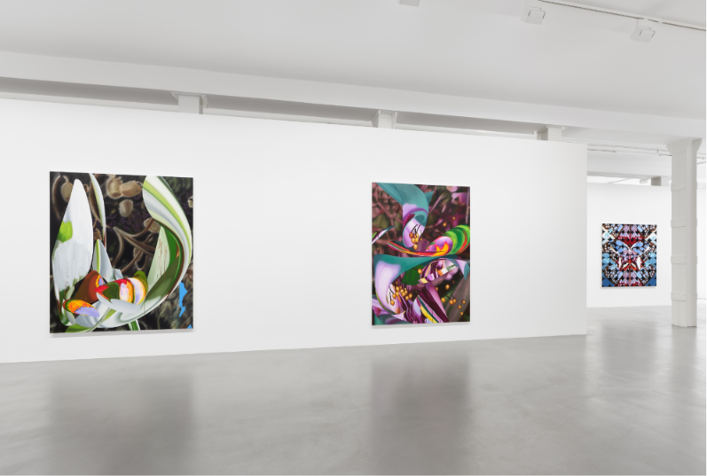 VIVIEN ZHANG: FIELD CONDITIONS
