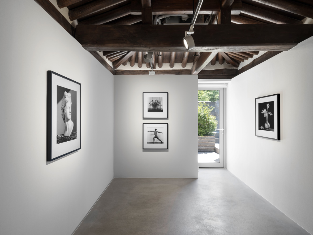ROBERT MAPPLETHORPE: THE POETICS OF FORM