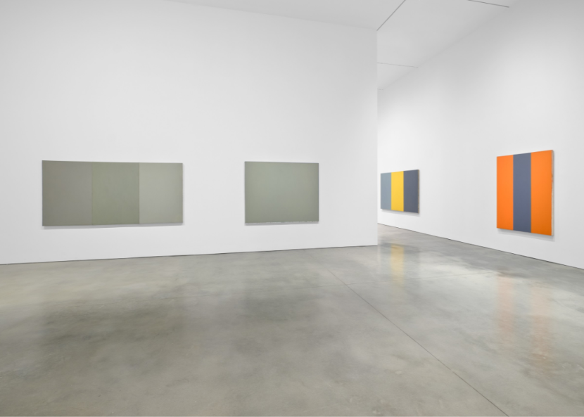 BRICE MARDEN: I AM PLANE IMAGE
