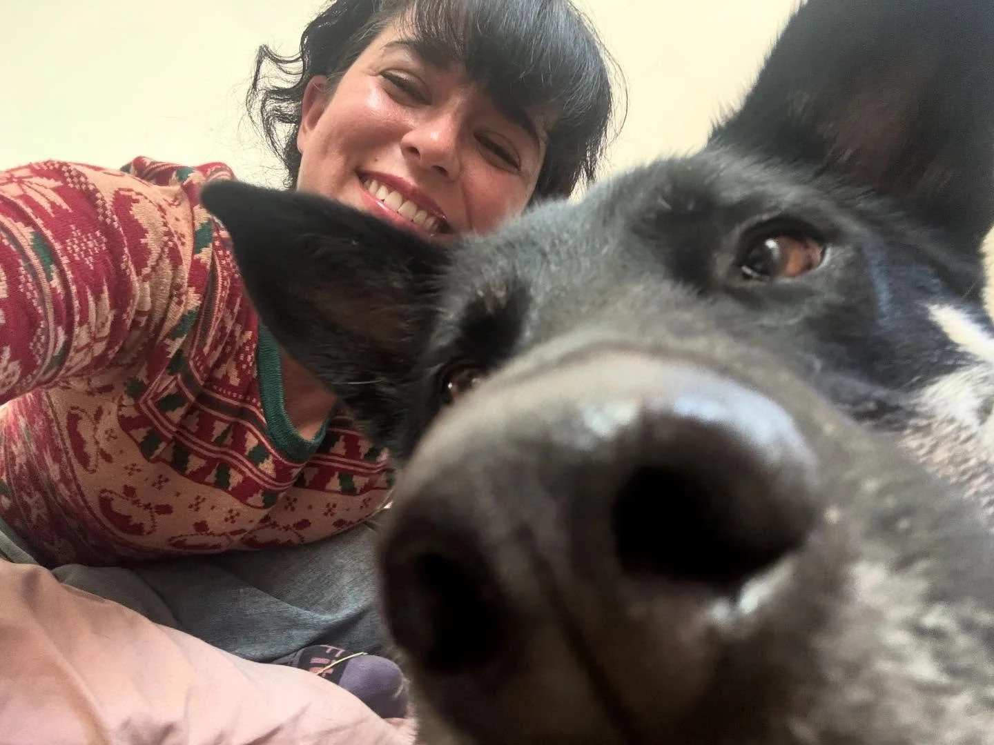 I took nearly a year long break from Instagram and almost as long off from marketing my business. Now, I&rsquo;m happy to be back and wanted to share a little of what I&rsquo;ve been up to: I fell in love with the Mojave desert which just spits raw g