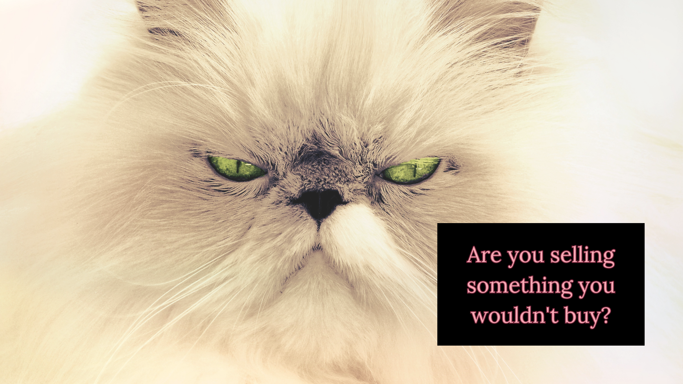 Are you selling something you wouldn't buy?