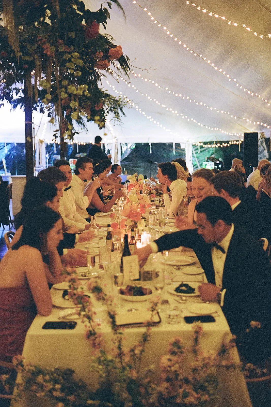 260925-film-Claudia-Tom-budgong-kangaroo-valley-wedding-photographer-oliver-hartley-95.jpg