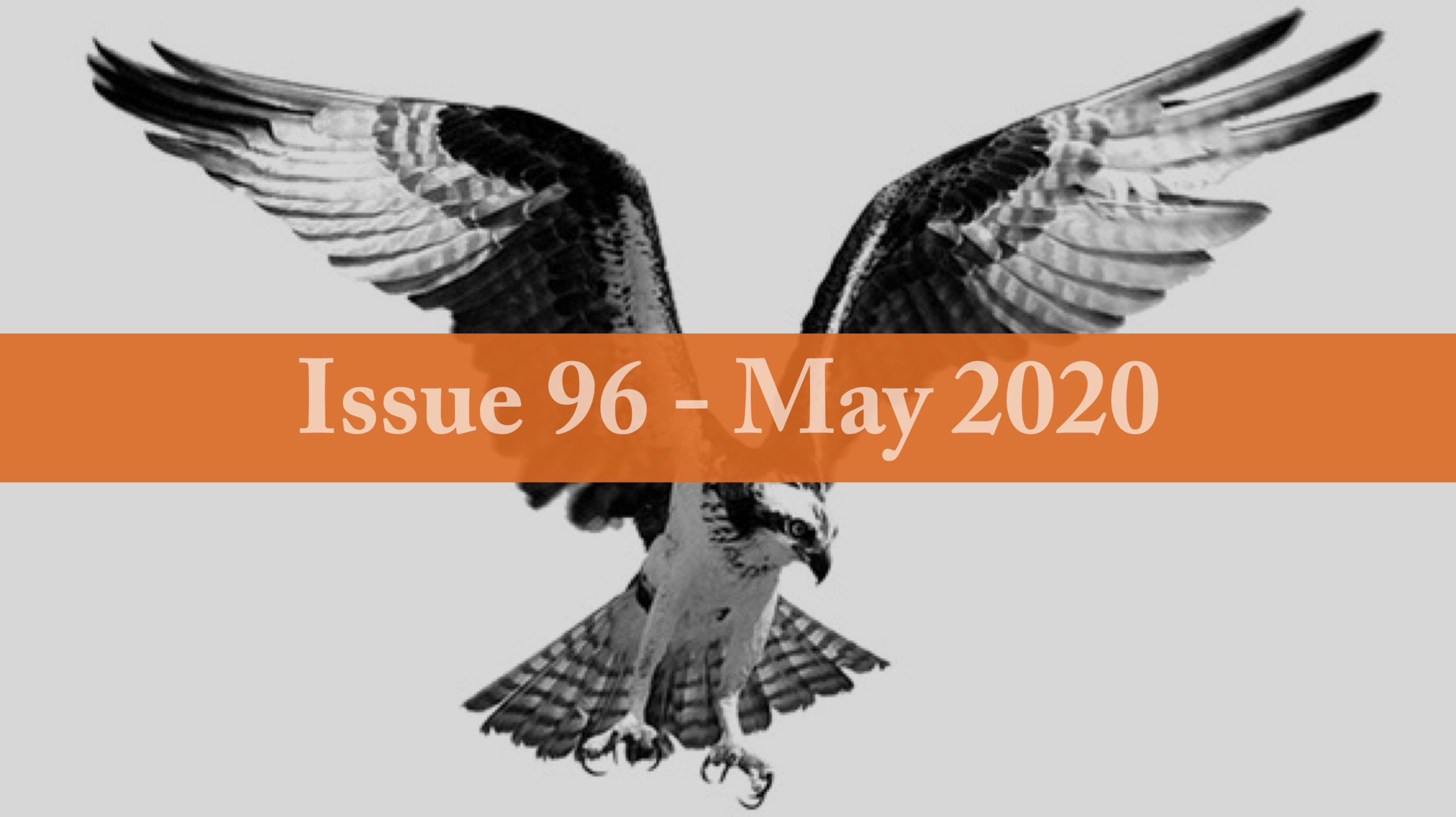 The Osprey: Fraser Basin Summer Steelhead Collapse