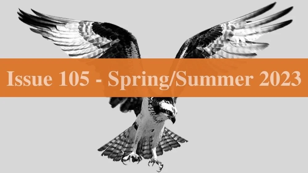 The Salmon's History Lesson