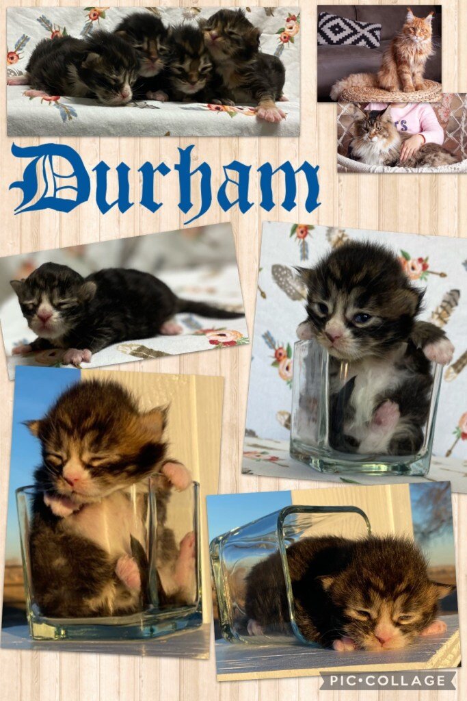 Durham.jpeg