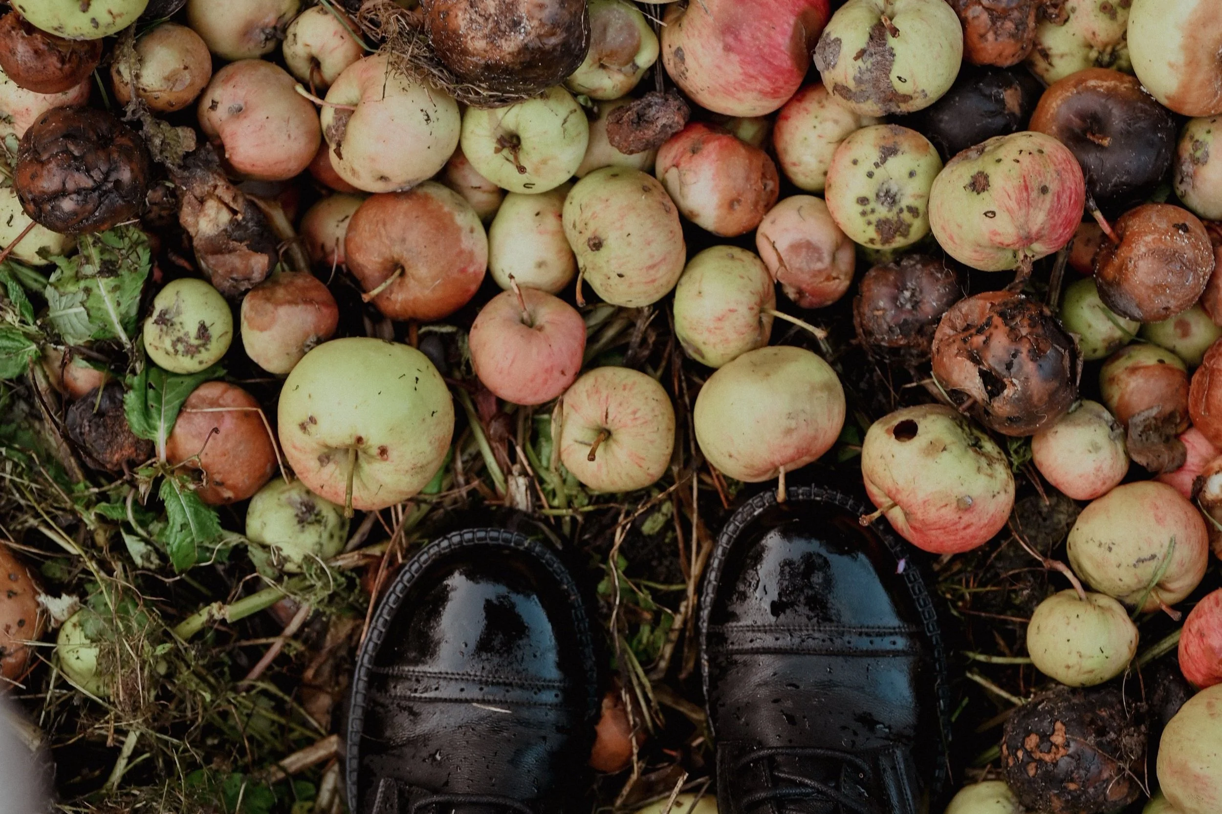 People are given no good choices.