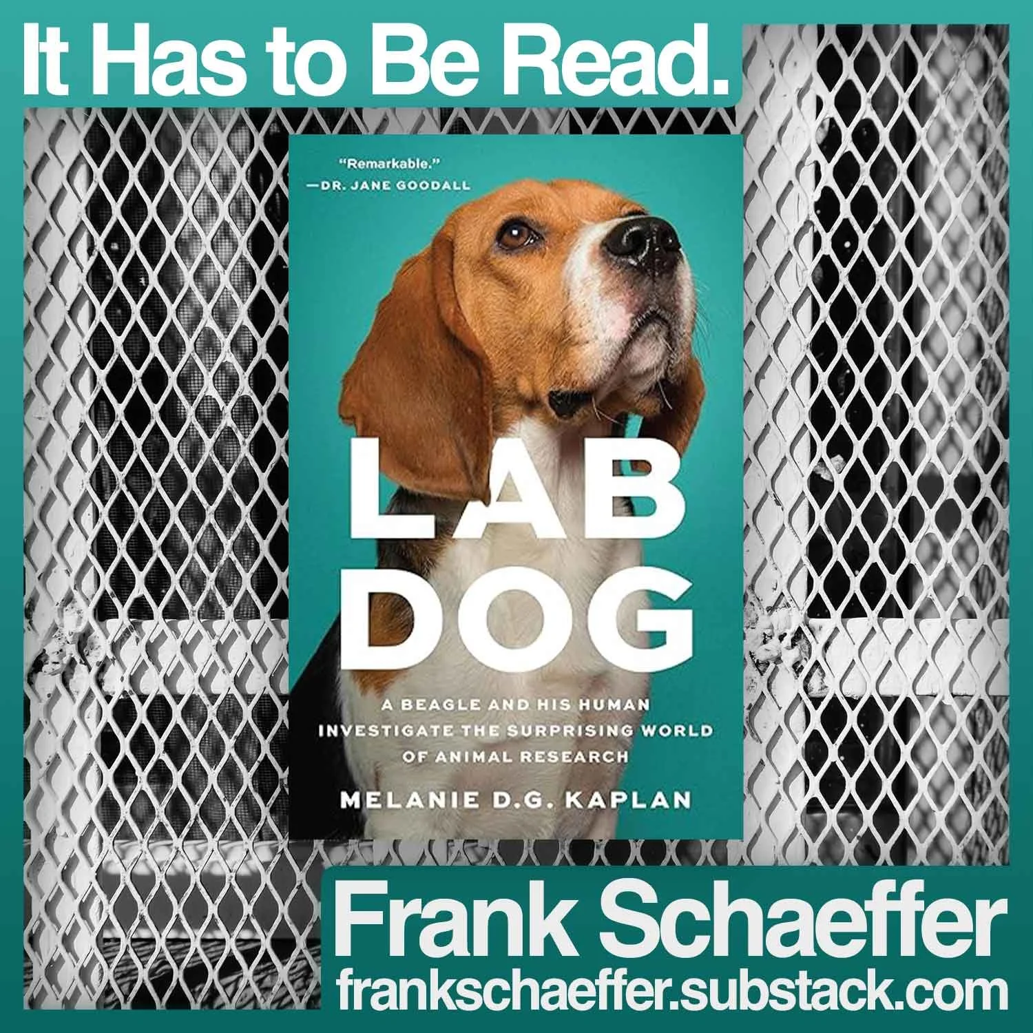 LAB DOG: A Beagle and His Human Investigate the Surprising World of Animal Research