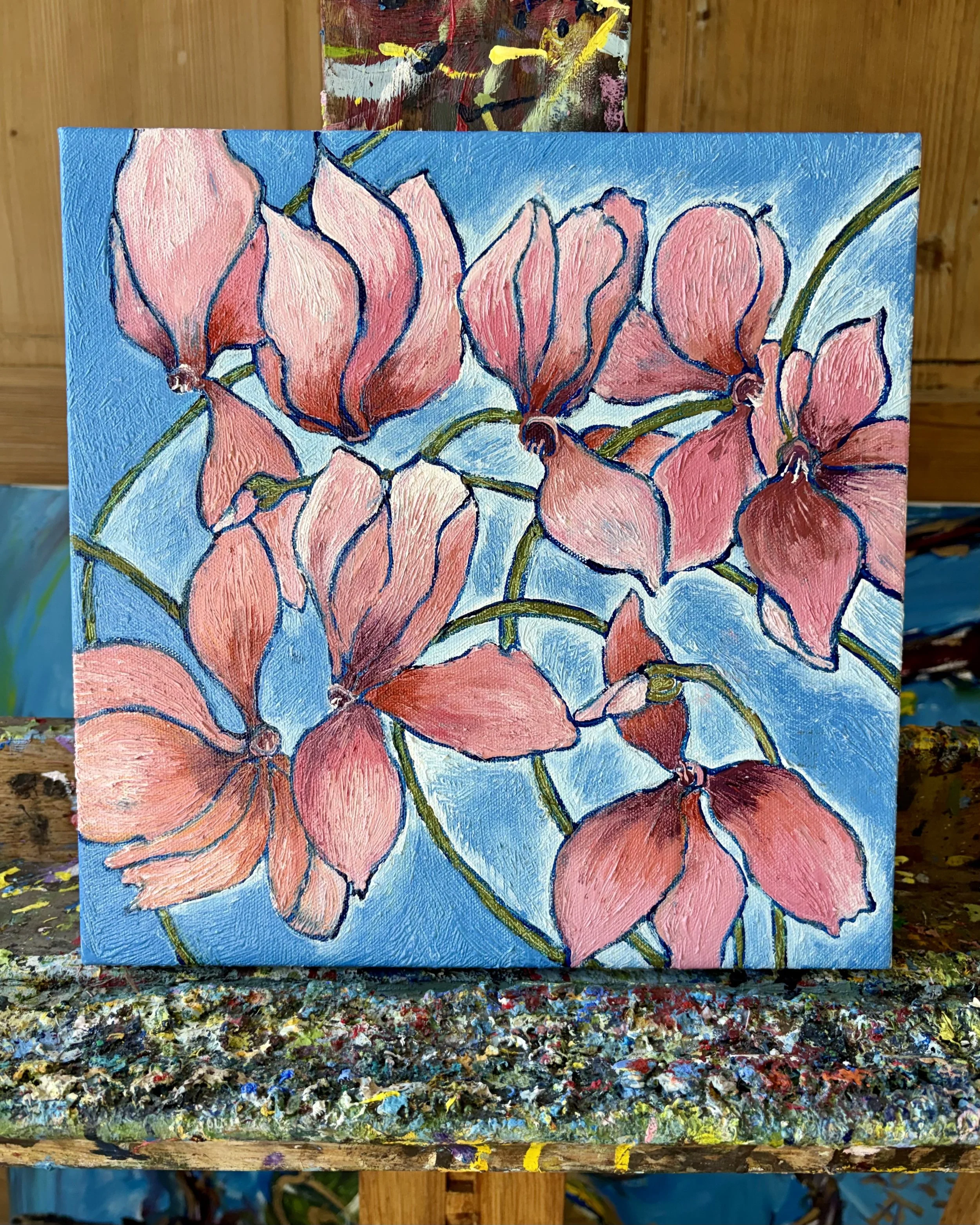 Cyclamens the Day After Christmas