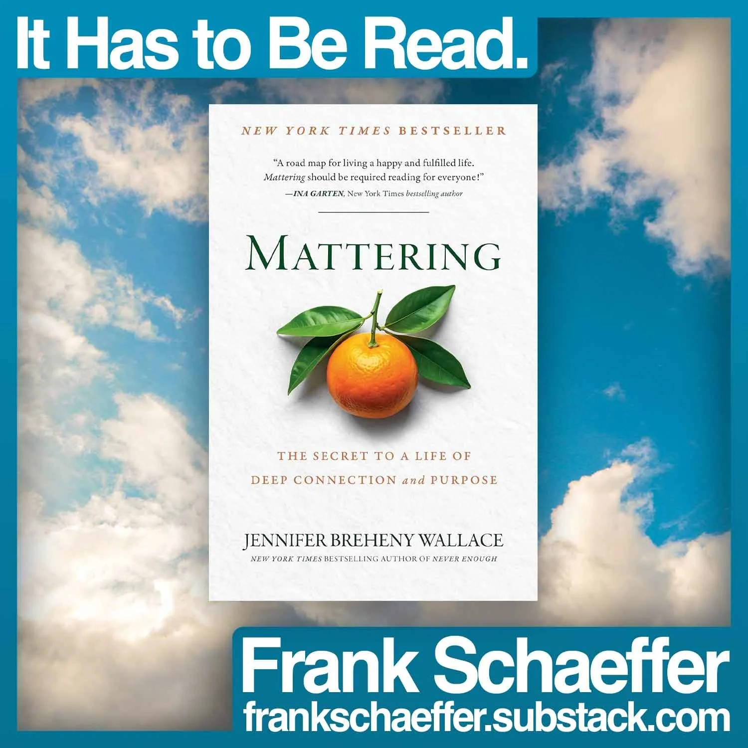 Jennifer Breheny Wallace on Being Seen, Needed, and Mattering