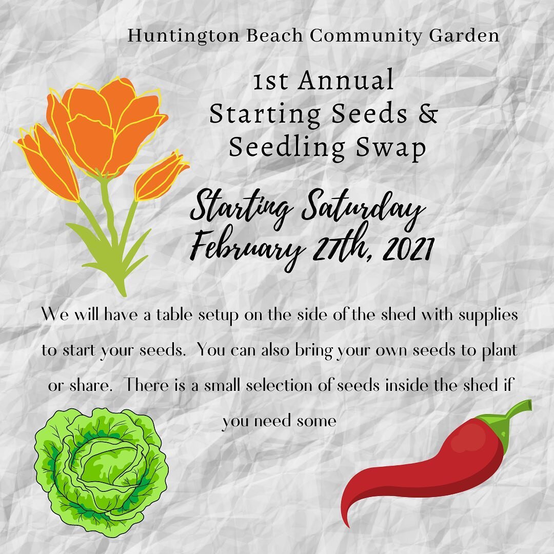 1st Annual Seeding start and seedling swap! Starting Saturday February 27th, 2021
We will have a table setup on the side of the shed with supplies to start your seeds.  You can also bring your own seeds to plant or share.  There is a small selection 