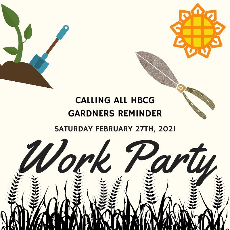 Calling all HBCG Work Party tomorrow Saturday February 27th.  Please take some time to come out and pulls some weeds and help clean up the garden.  Many hands make light work...